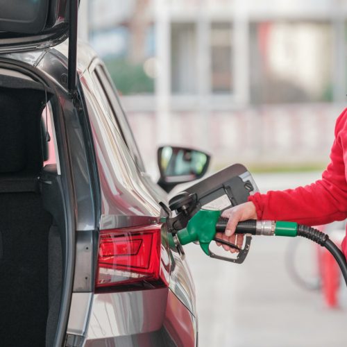 pexels-enginakyurt-20500733 pexels-enginakyurt-20500733